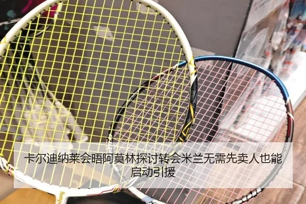 卡尔迪纳莱会晤阿莫林探讨转会米兰无需先卖人也能启动引援 | HTH Sports