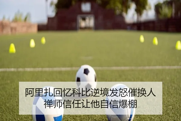 阿里扎回忆科比逆境发怒催换人 禅师信任让他自信爆棚 | HTH Sports